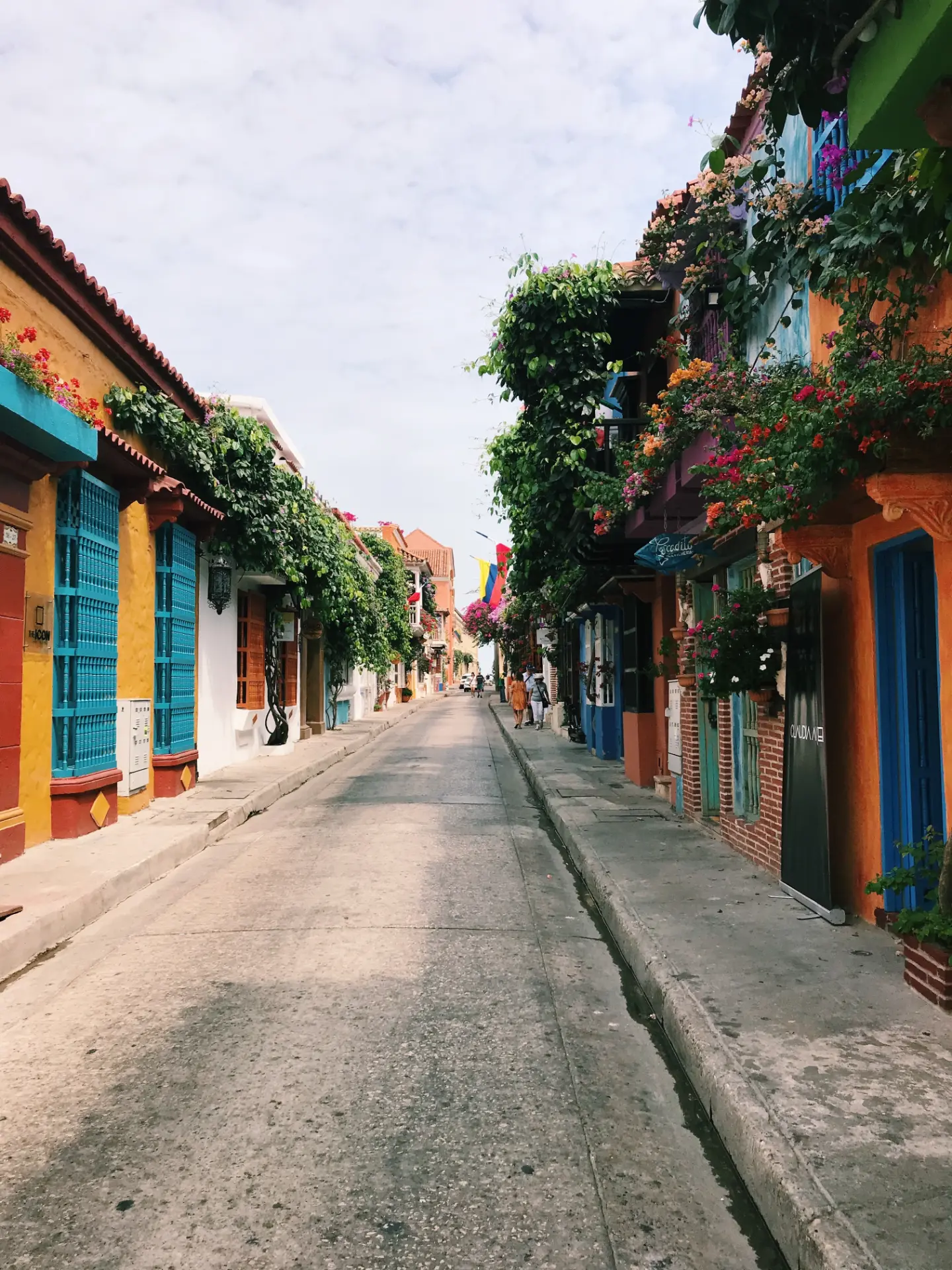 Colourful bougainvillea-draped lane in Cartagena's old town
