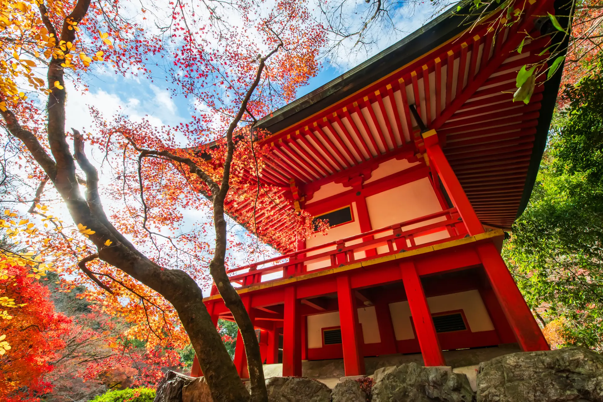 Vermilion Japanese temple pavilion framed by autumn maple leaves
