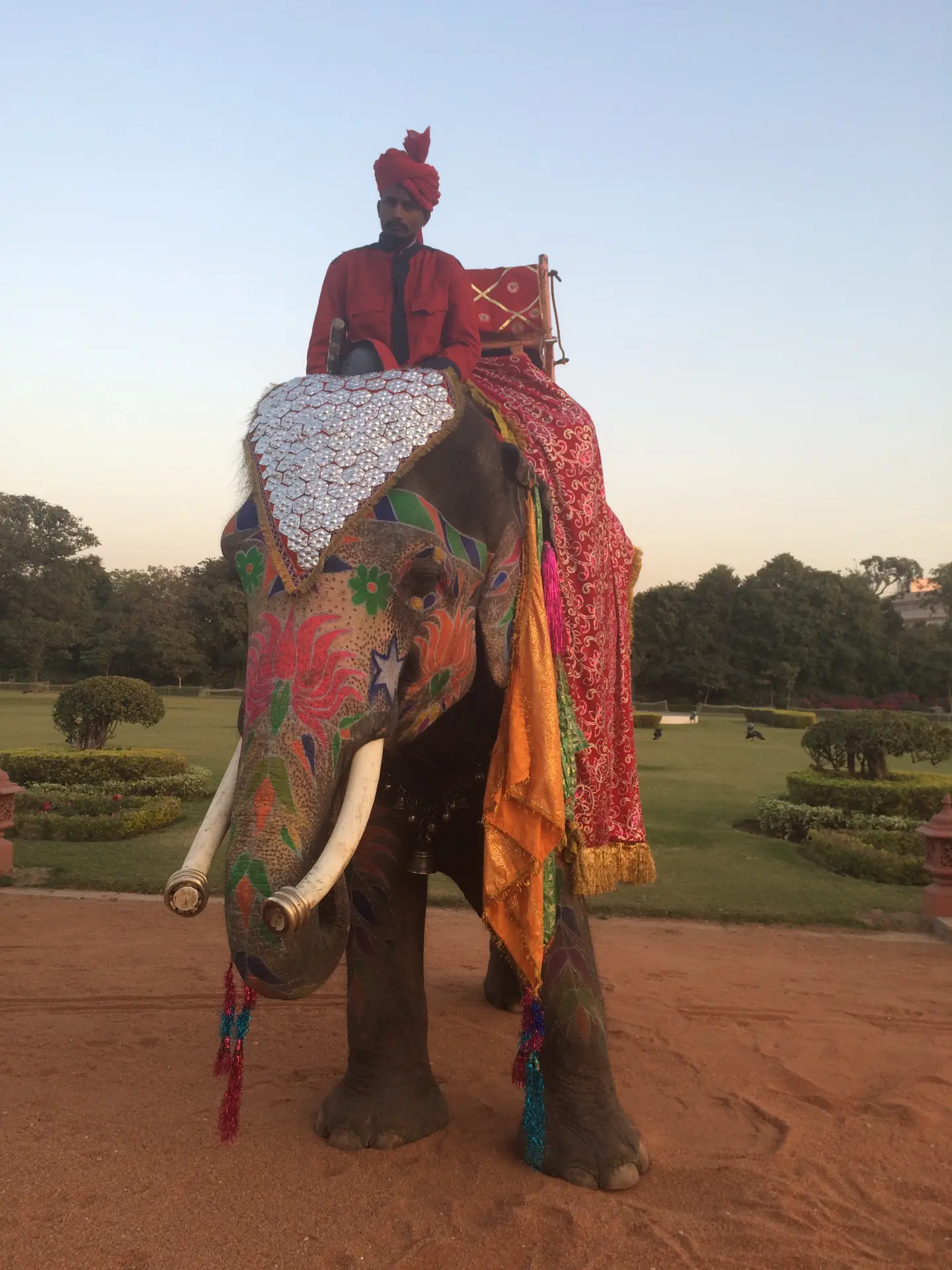 Ceremonially painted elephant with its mahout in palace gardens at dusk in Rajasthan